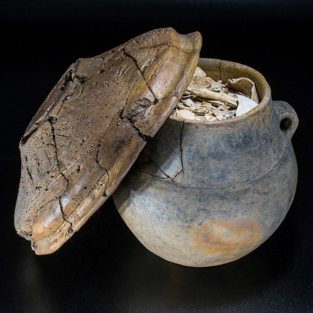 © AtelierThomasBartel, BLDAM